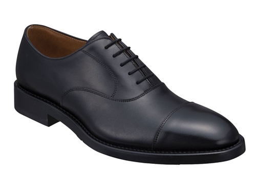 シャインオアレイン